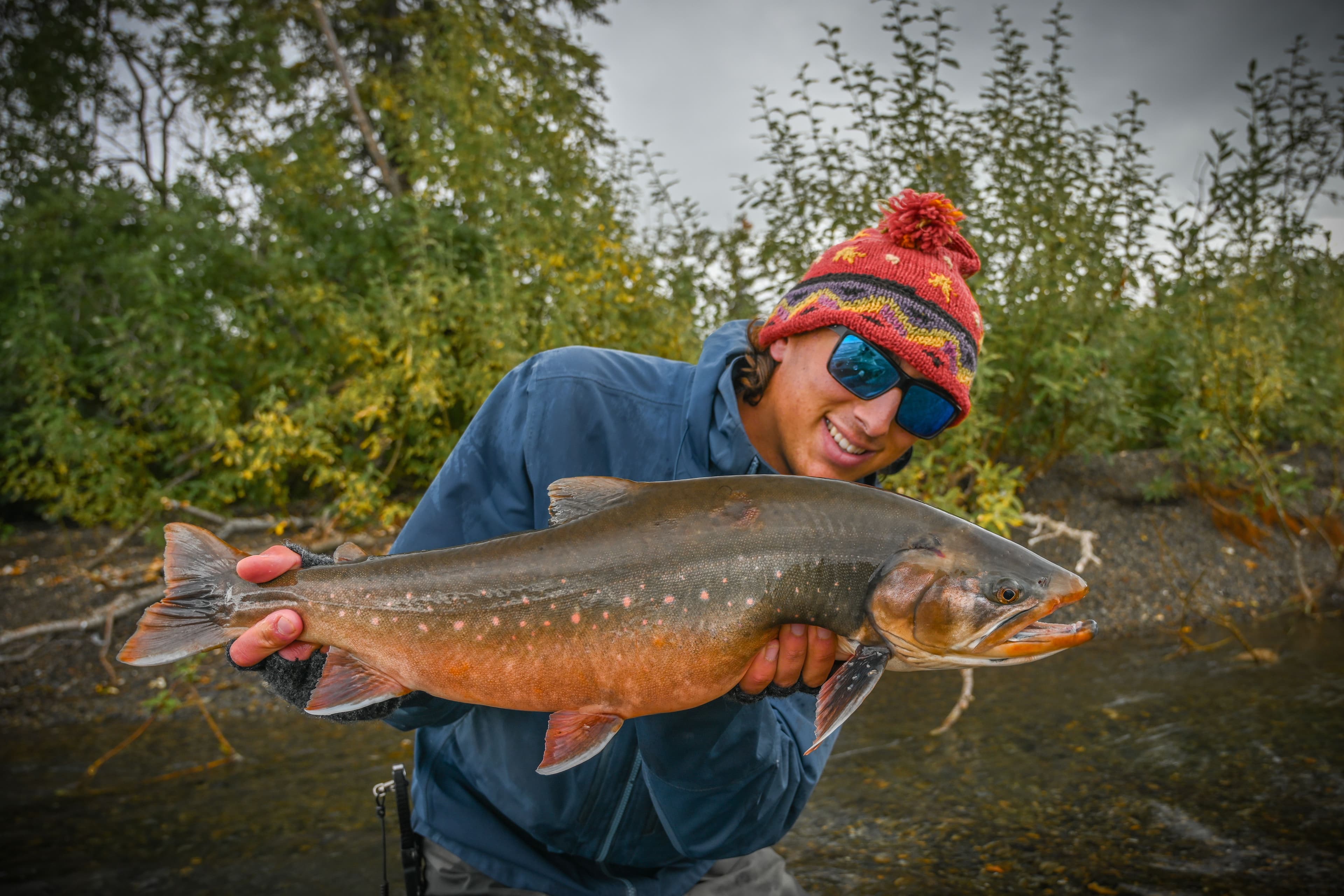 Arctic char