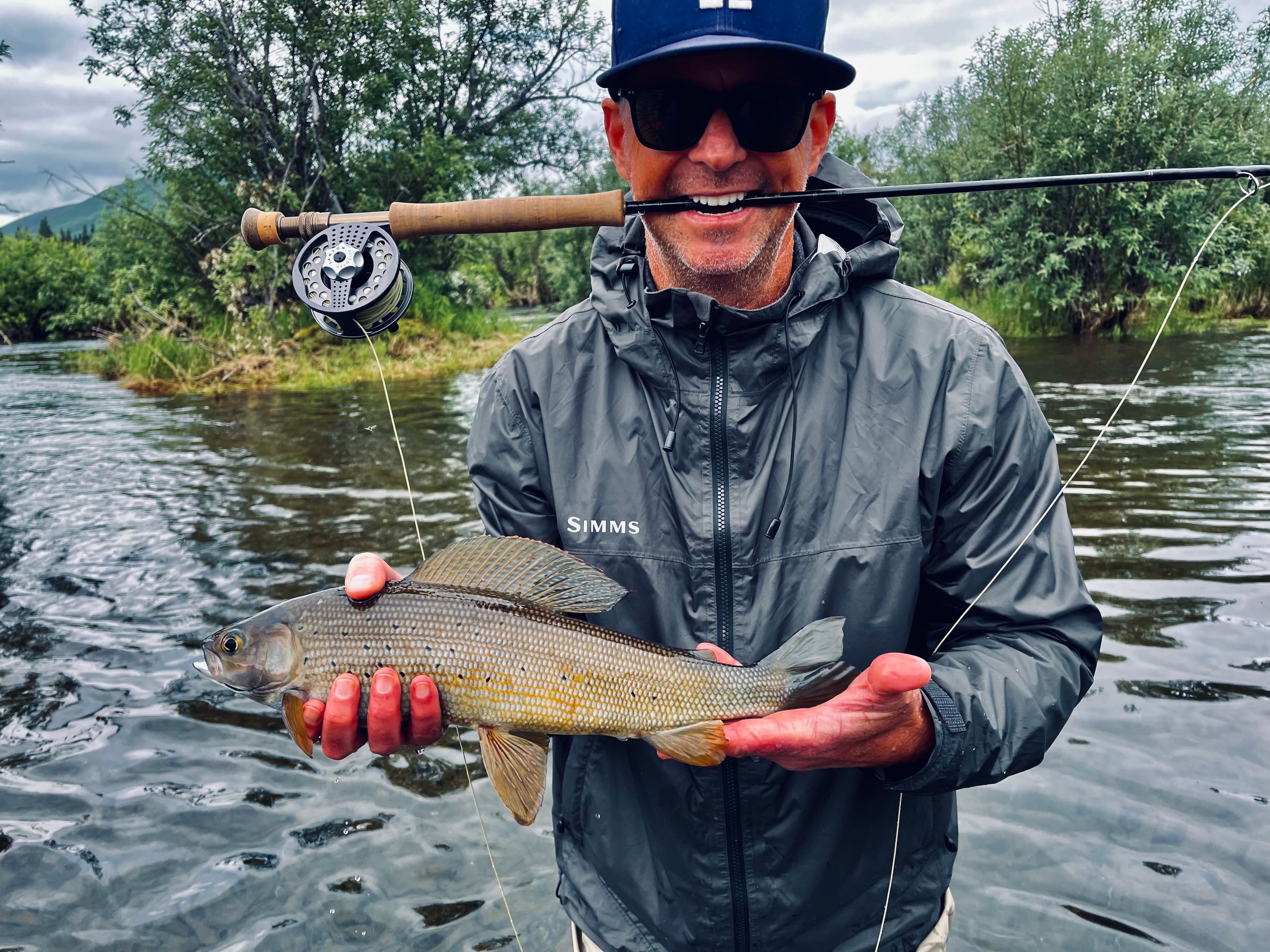Arctic Grayling